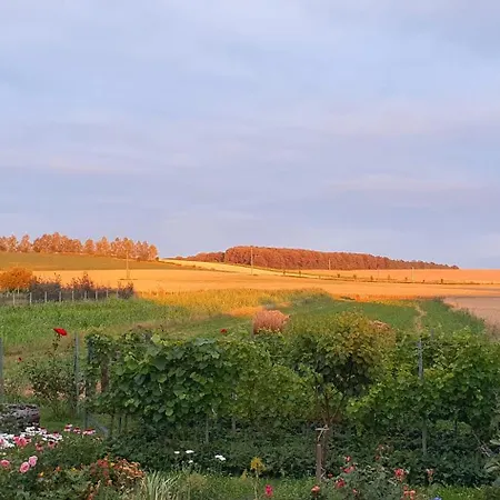 公寓 Viragos Birtok Es Vendeghaz 维拉尼