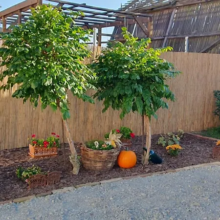 公寓 Viragos Birtok Es Vendeghaz 维拉尼