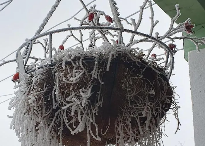 Viragos Birtok Es Vendeghaz * 维拉尼