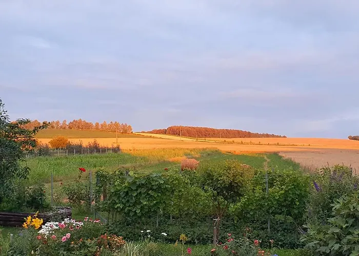 公寓 Viragos Birtok Es Vendeghaz 维拉尼