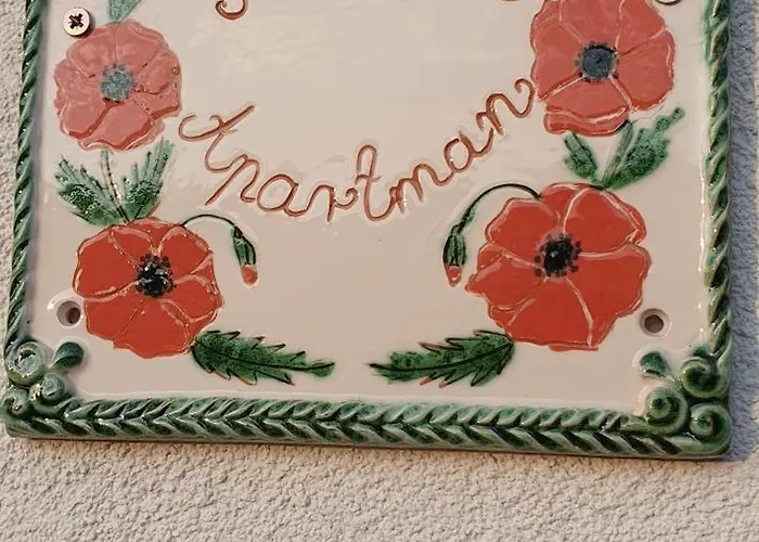 Viragos Birtok Es Vendeghaz 公寓 *