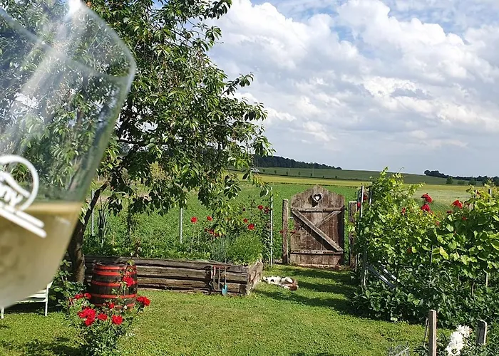 Viragos Birtok Es Vendeghaz *