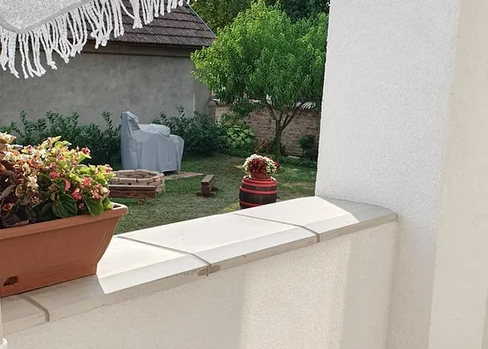 Viragos Birtok Es Vendeghaz * Виллань