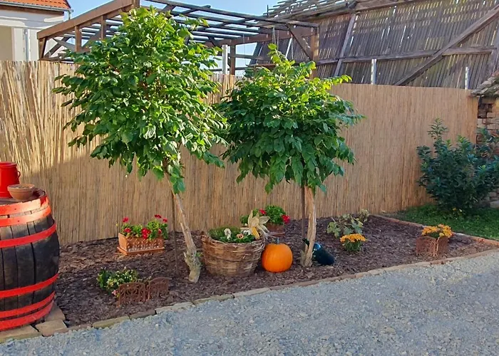 公寓 Viragos Birtok Es Vendeghaz 维拉尼